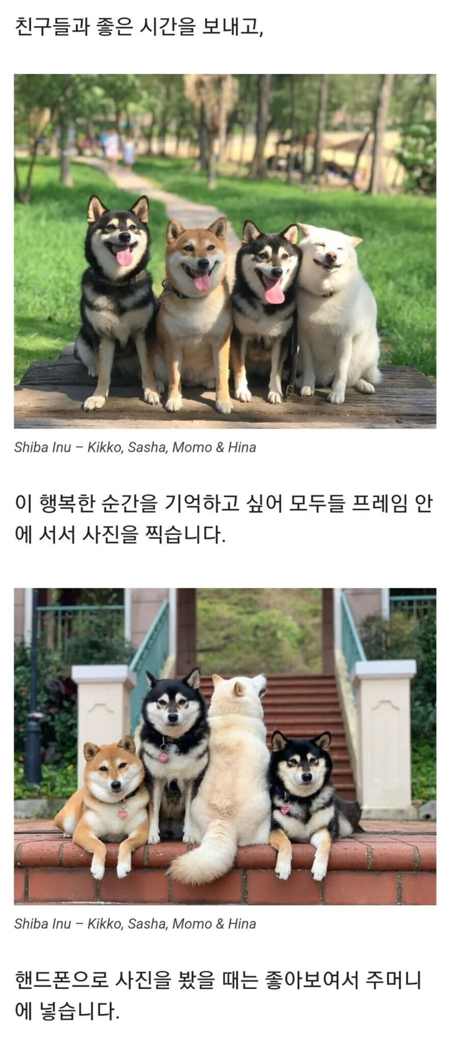 항상 단체 사진을 망치는 친구_1.webp