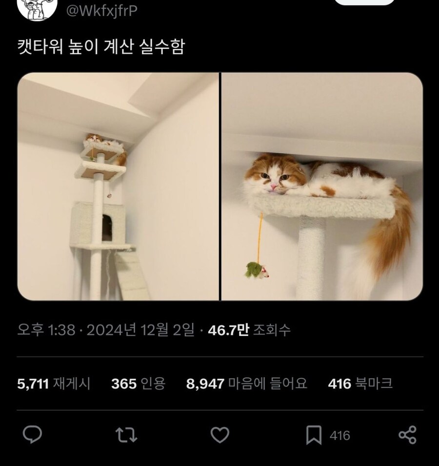 주인이 실수했는데 대만족하는 고양이_1.jpg