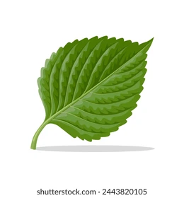 의외로 역사가 짧은 한식_1.webp