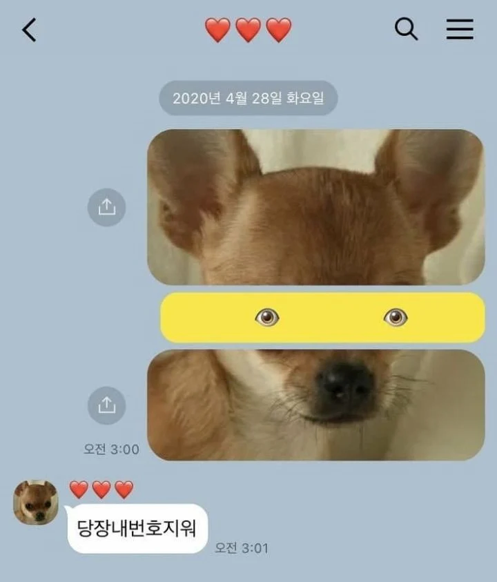 헤어진 여자친구에게 보낸 마지막 카톡_1.webp