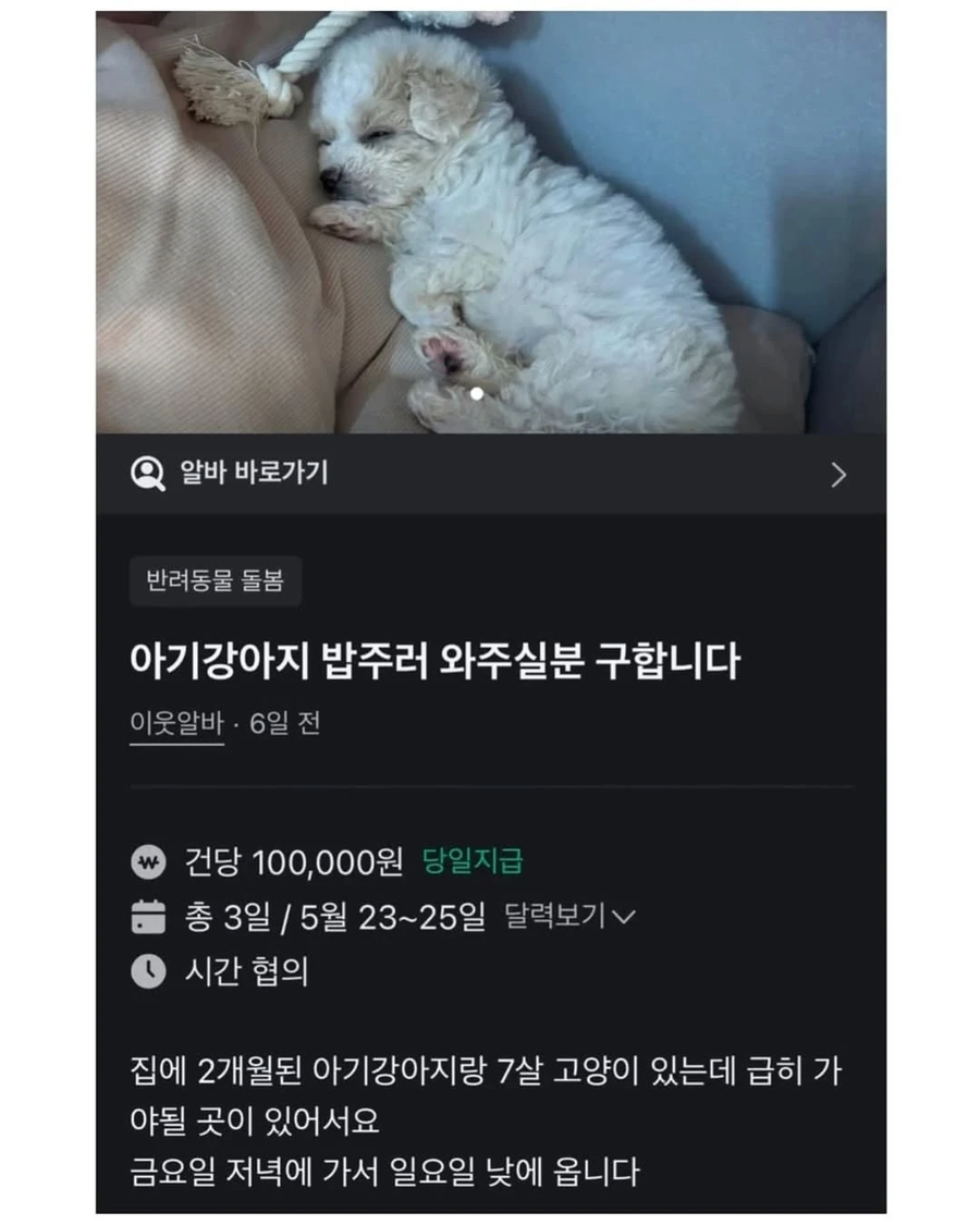 당근알바중 400명넘게 지원한 알바_1.webp