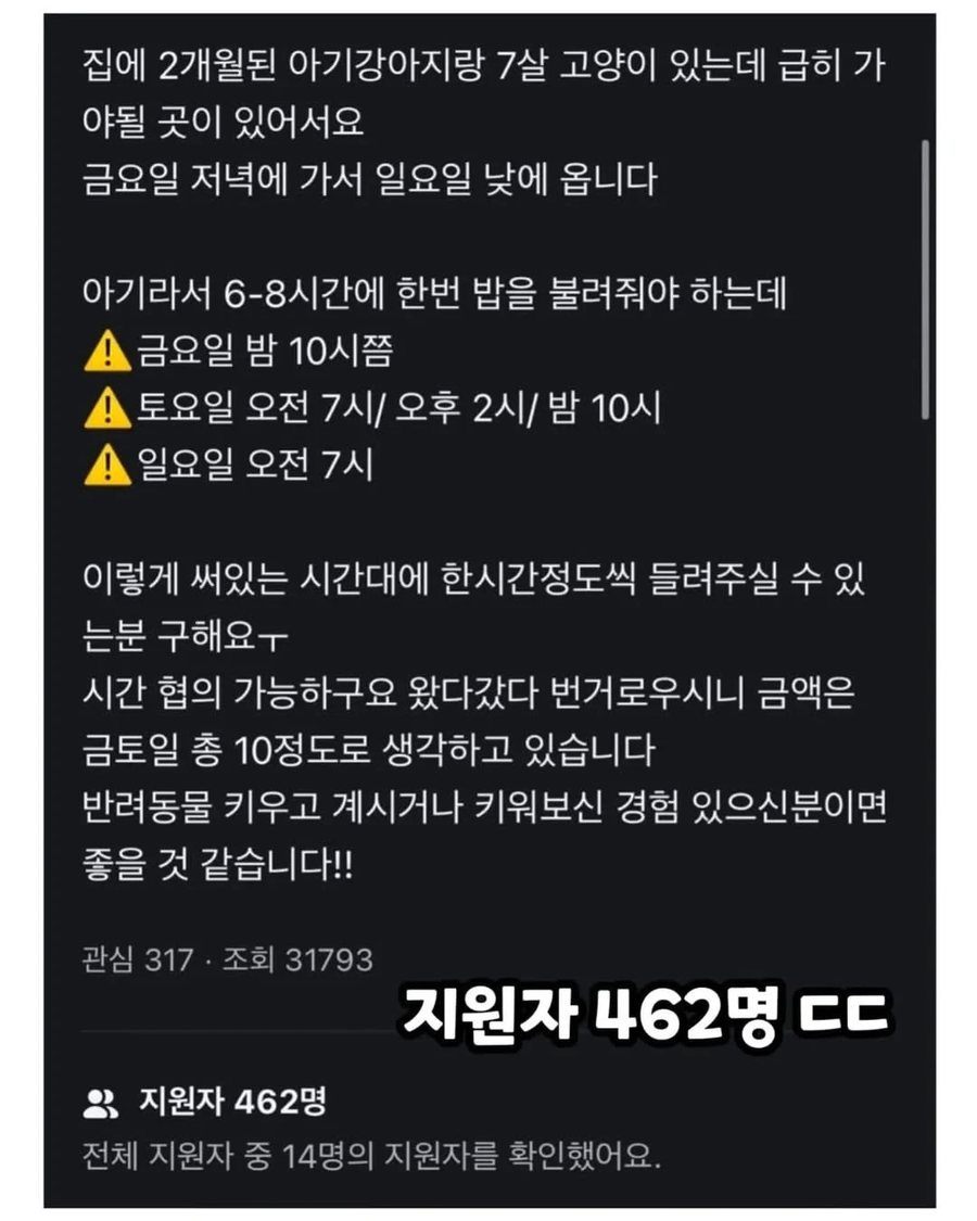 당근알바중 400명넘게 지원한 알바_2.webp