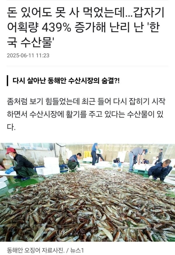 어획량이 439%증가한 수산물..._1.jpg