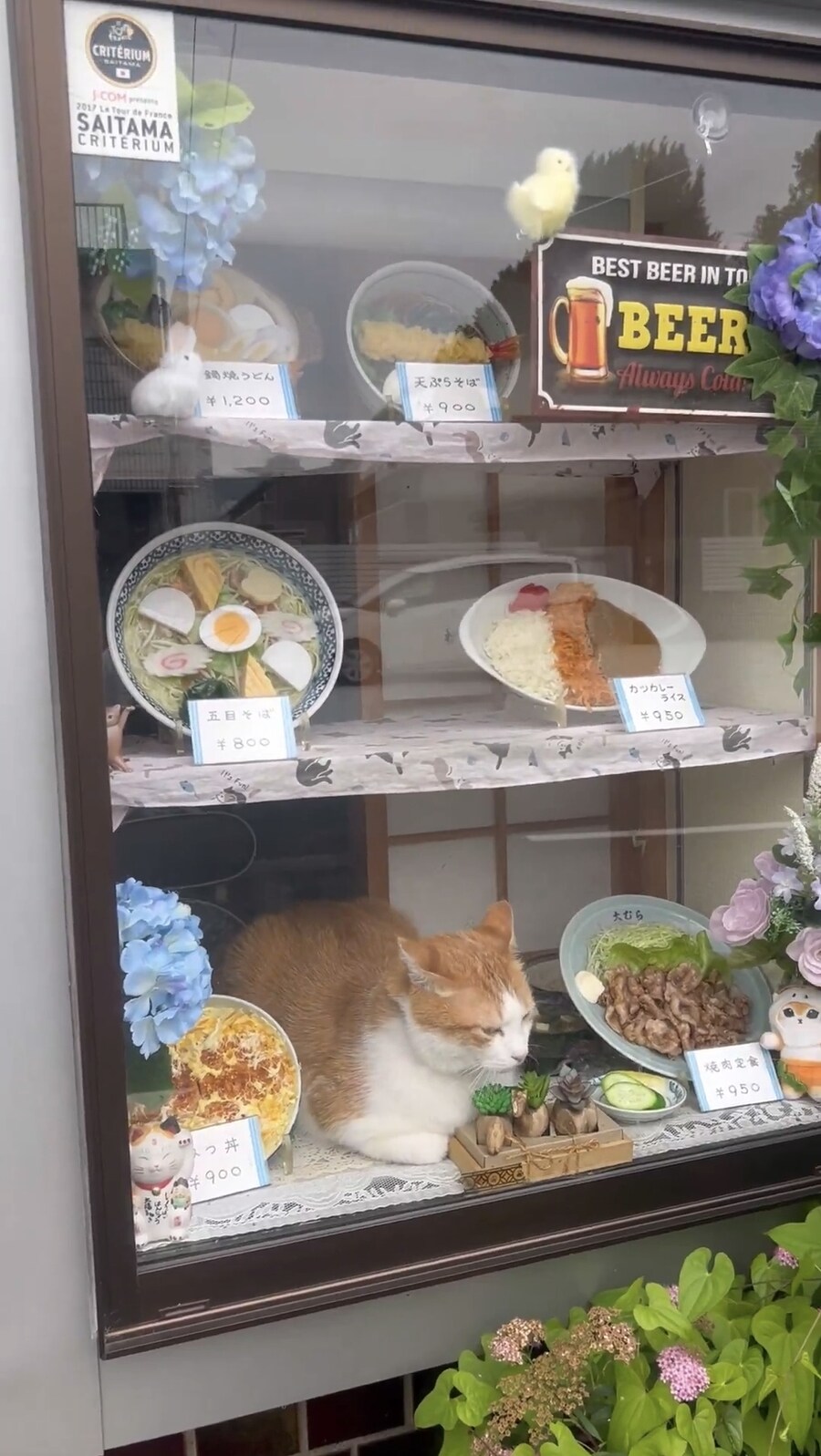 식당에서 파는 음식_1.jpg