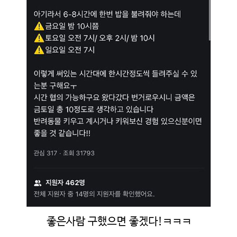 462명이 몰린 강아지 밥주는 알바_3.jpg