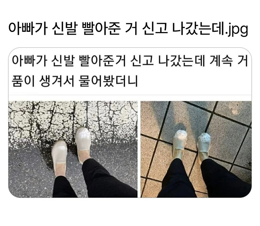 아빠의 건망증_1.webp