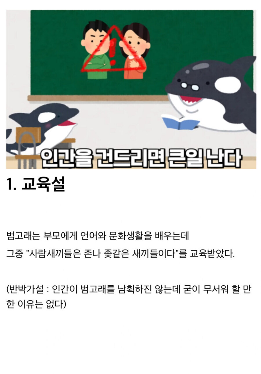 범고래가 인간에게 우호적인 이유.jpg_2.jpg