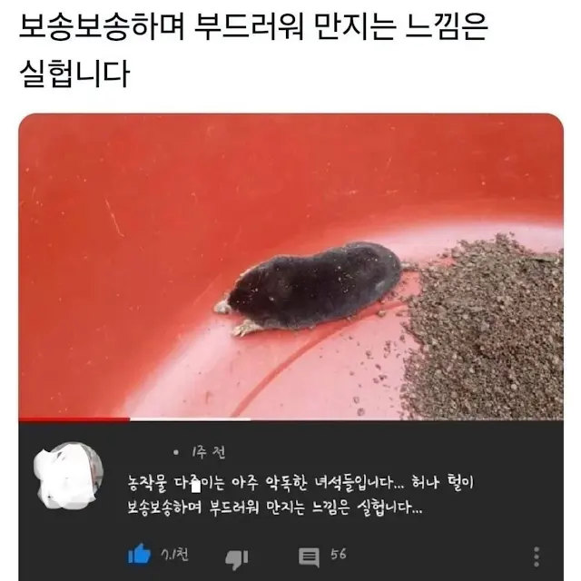 저 녀석은 농작물을 다 죽이는 악독한 녀석입니다!!_1.webp