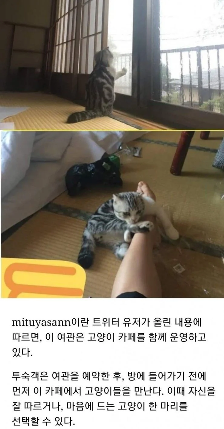 일본 여관의 서비스_3.webp