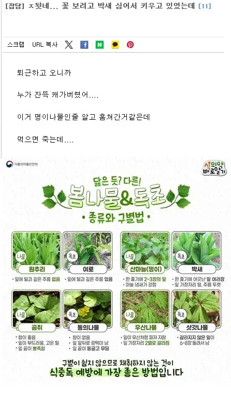 농산물도둑을 걱정하는 농부_1.webp