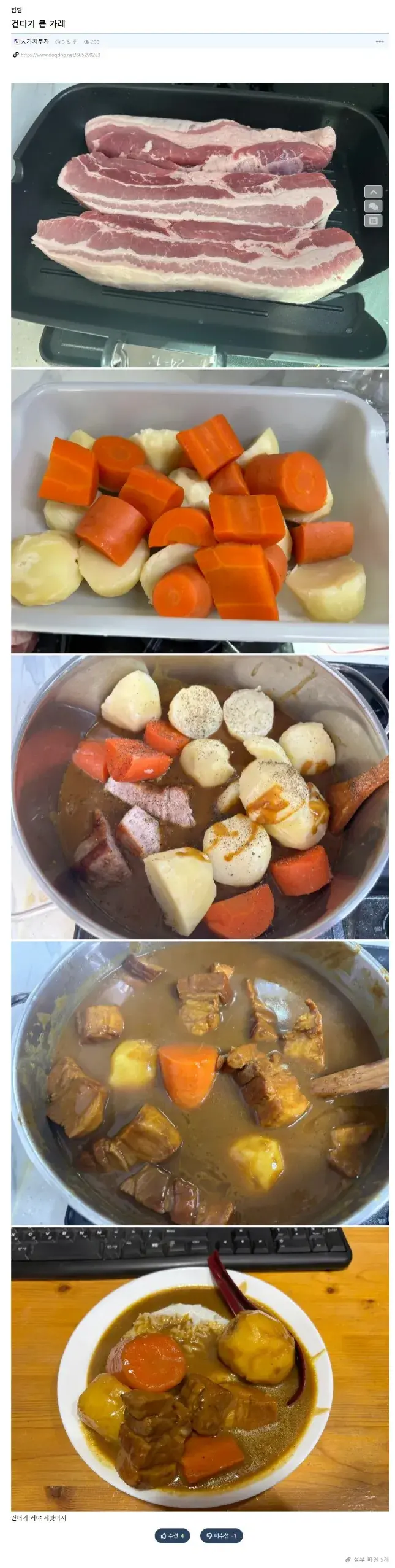 건더기 큰 카레_1.webp