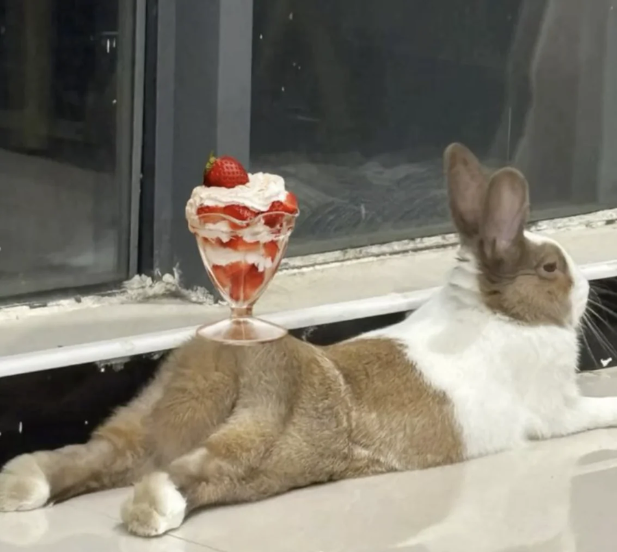 바니 걸 엉덩이 위에 올려진 파르페_1.webp