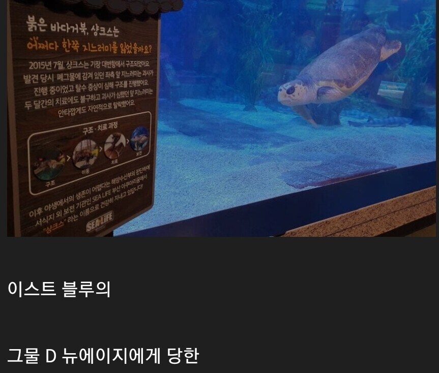 아쿠아리움 사육사중에 원피스 팬이있는게 분명하다_1.jpg