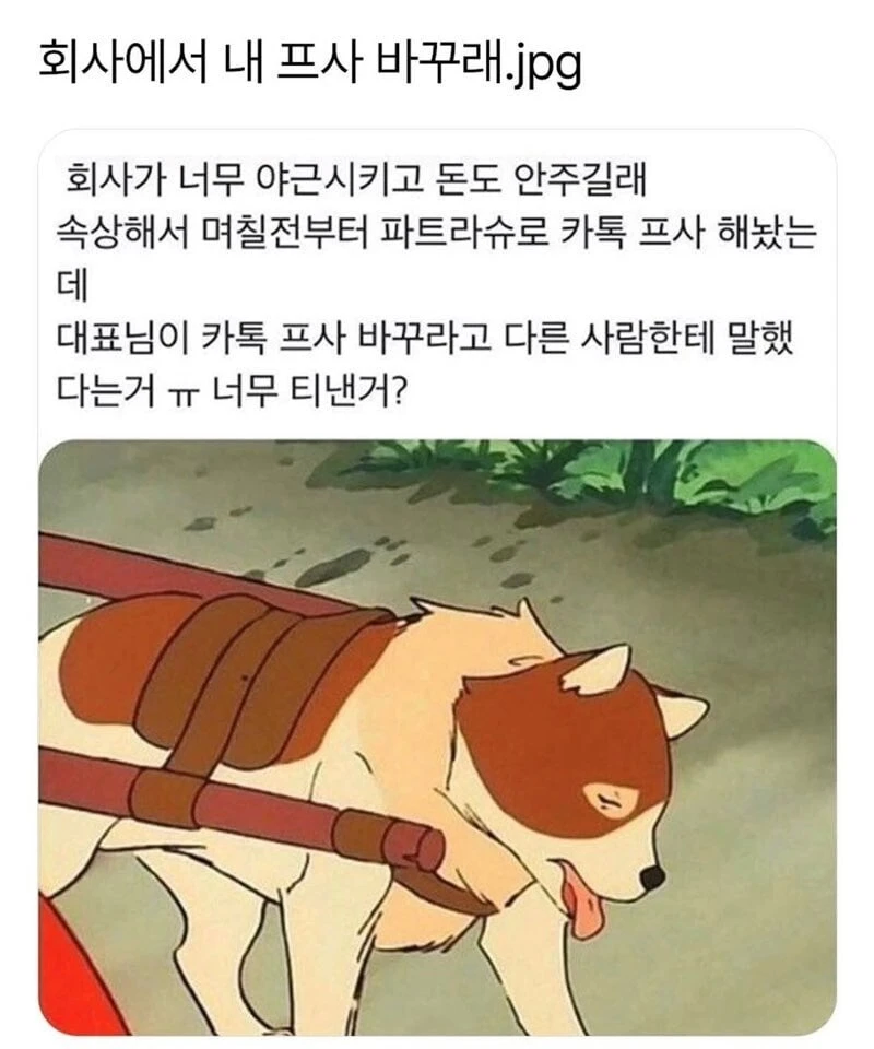 사장이 카톡 프사 바꾸라는 사람.jpg_1.webp