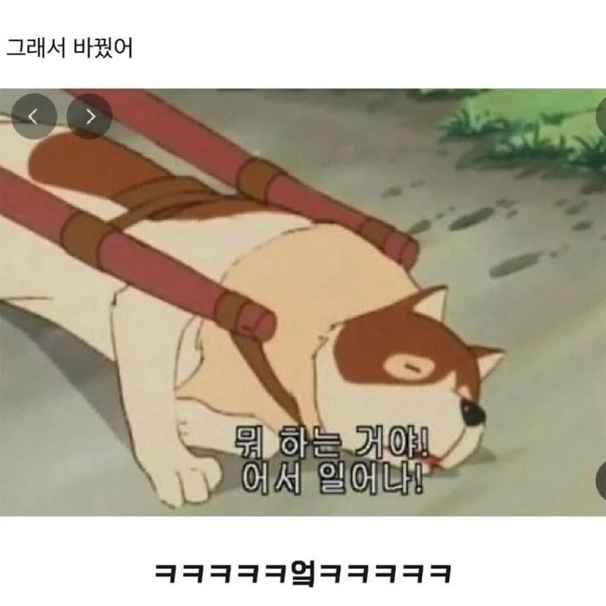 사장이 카톡 프사 바꾸라는 사람.jpg_2.webp