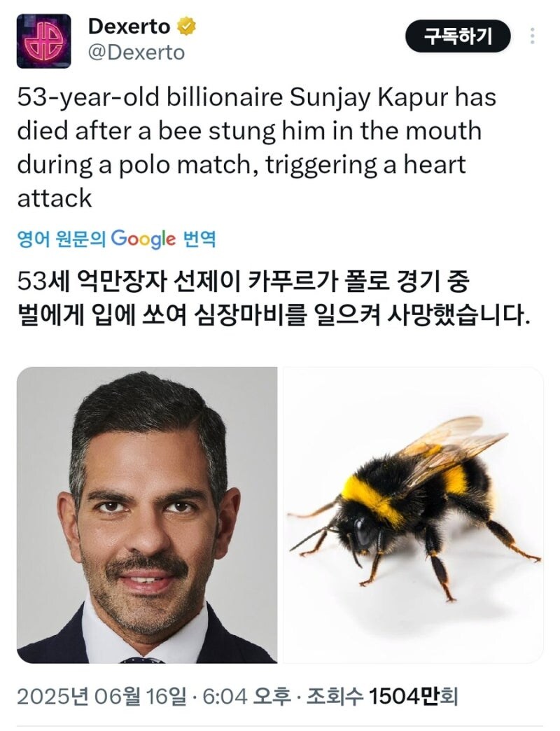 억만장자가 말 타고 지나가다가 입에 벌이 들어가서 죽는 소설 ㅋㅋㅋㅋㅋㅋ_2.jpg