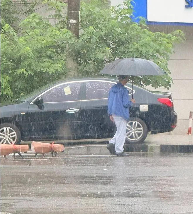 강아지 비 안 맞게 만들어준 우비.jpg_1.webp