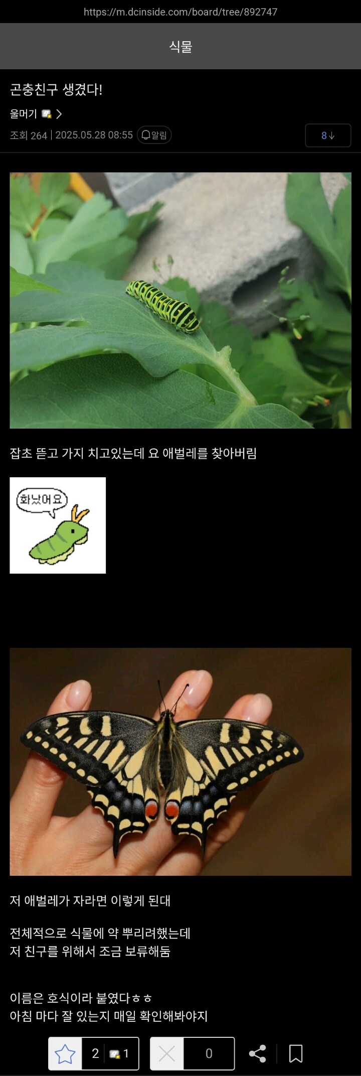 곤충 친구를 키워낸 식갤러_1.jpg