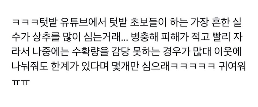 텃밭 초보들이 하는 가장 흔한 실수.jpg_1.jpg