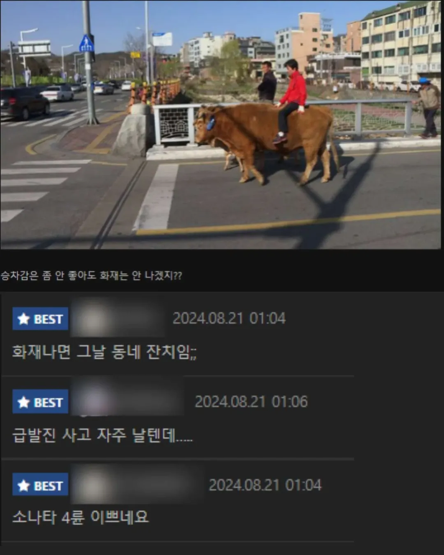 전기차보다 수소차가 더 좋다는 운전자_1.webp