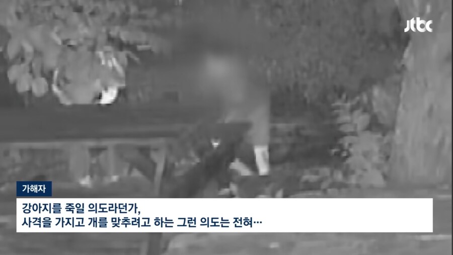 강아지 를 비비탄으로 쏴죽인 인간들_9.jpg