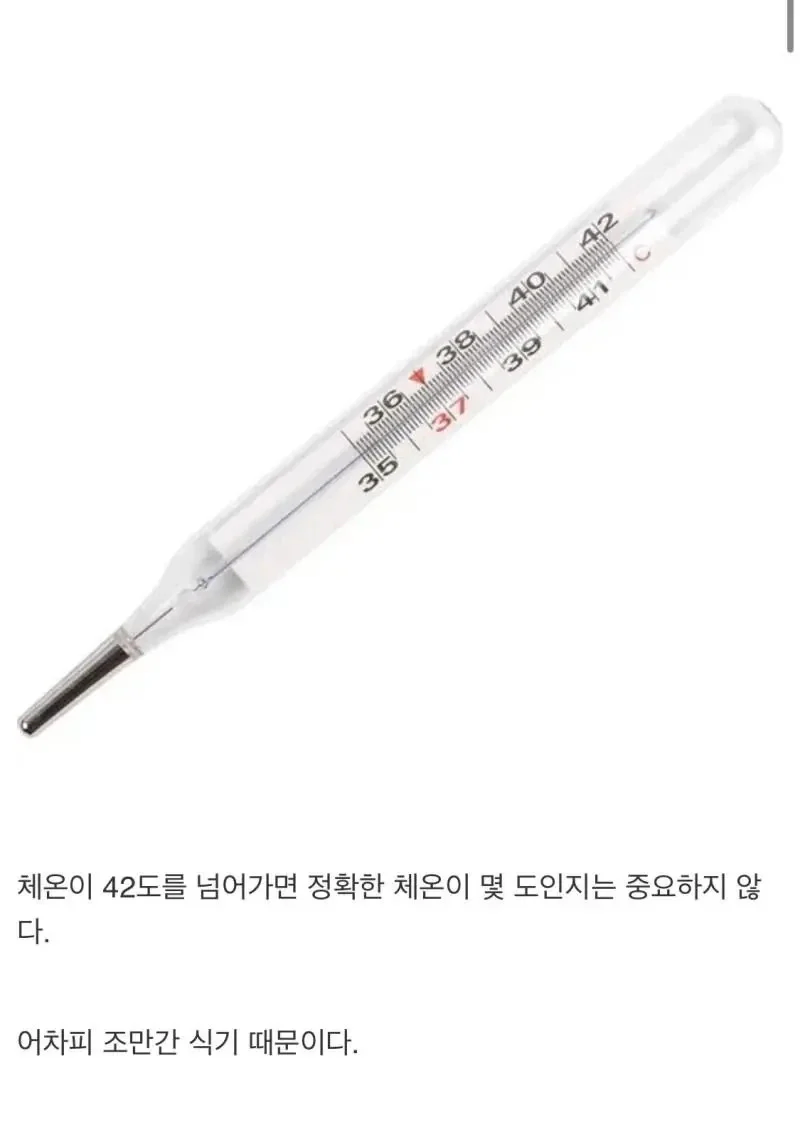 체온계가 42도까지밖에 못재는 이유.jpg_1.webp