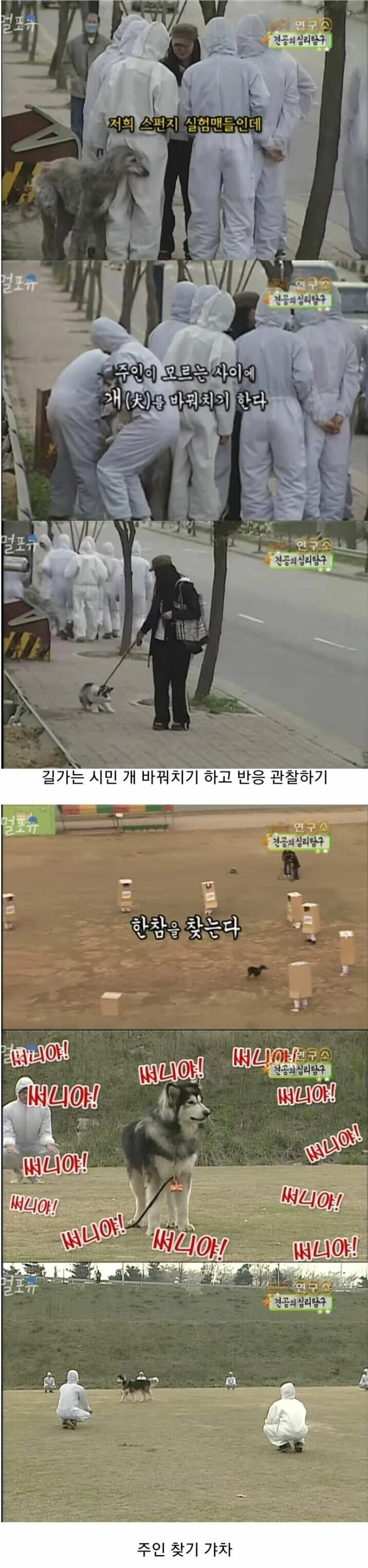 옛날 공중파 방송의 광기_1.webp