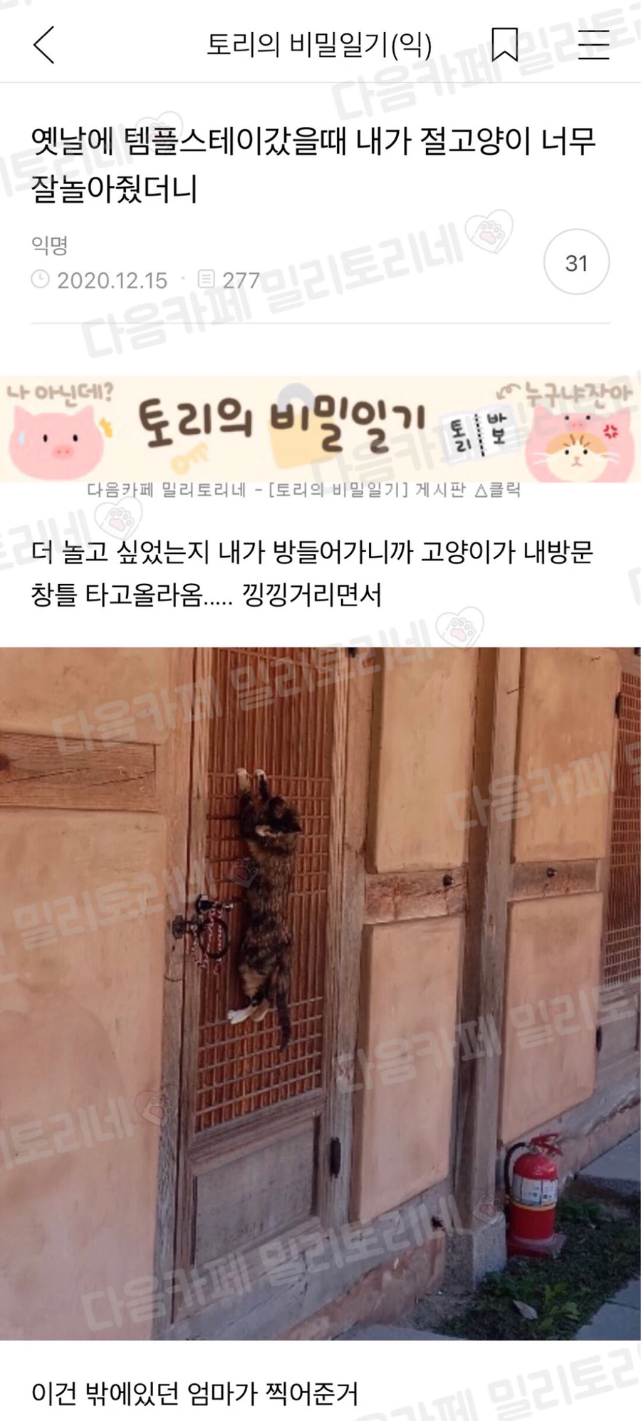 템플 스테이갔을때 절냥이 너무 잘놀아줬더니._1.webp