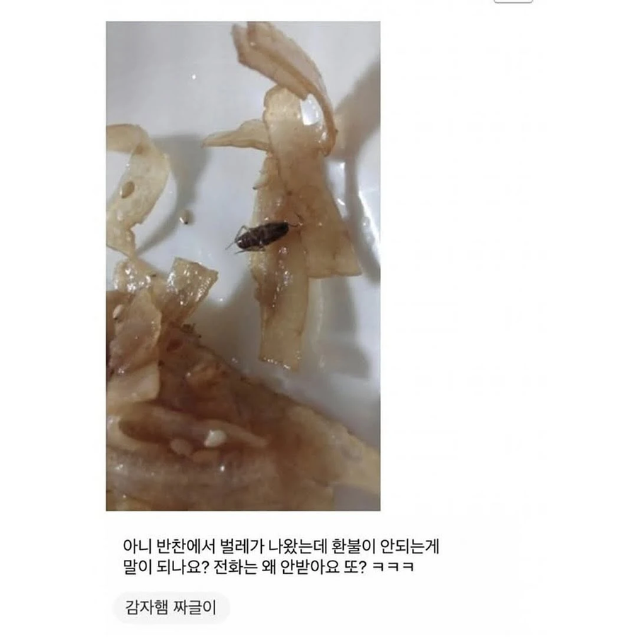 환불하기 vs 장사접기.JPG_1.webp