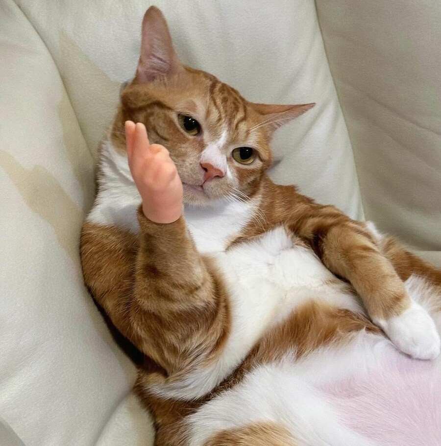 인생처럼 담배 맛도 쓰다.jpg_1.jpg