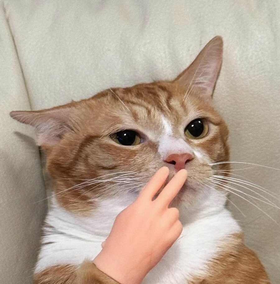 인생처럼 담배 맛도 쓰다.jpg_3.jpg
