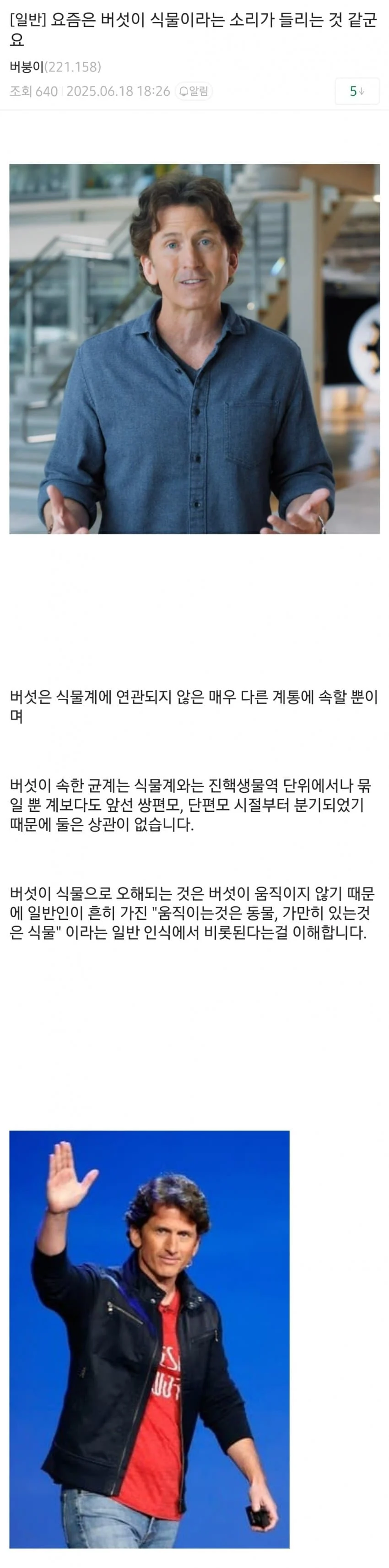 버섯갤을 침공하는 사악한 햇빛쨍쨍단들_2.webp