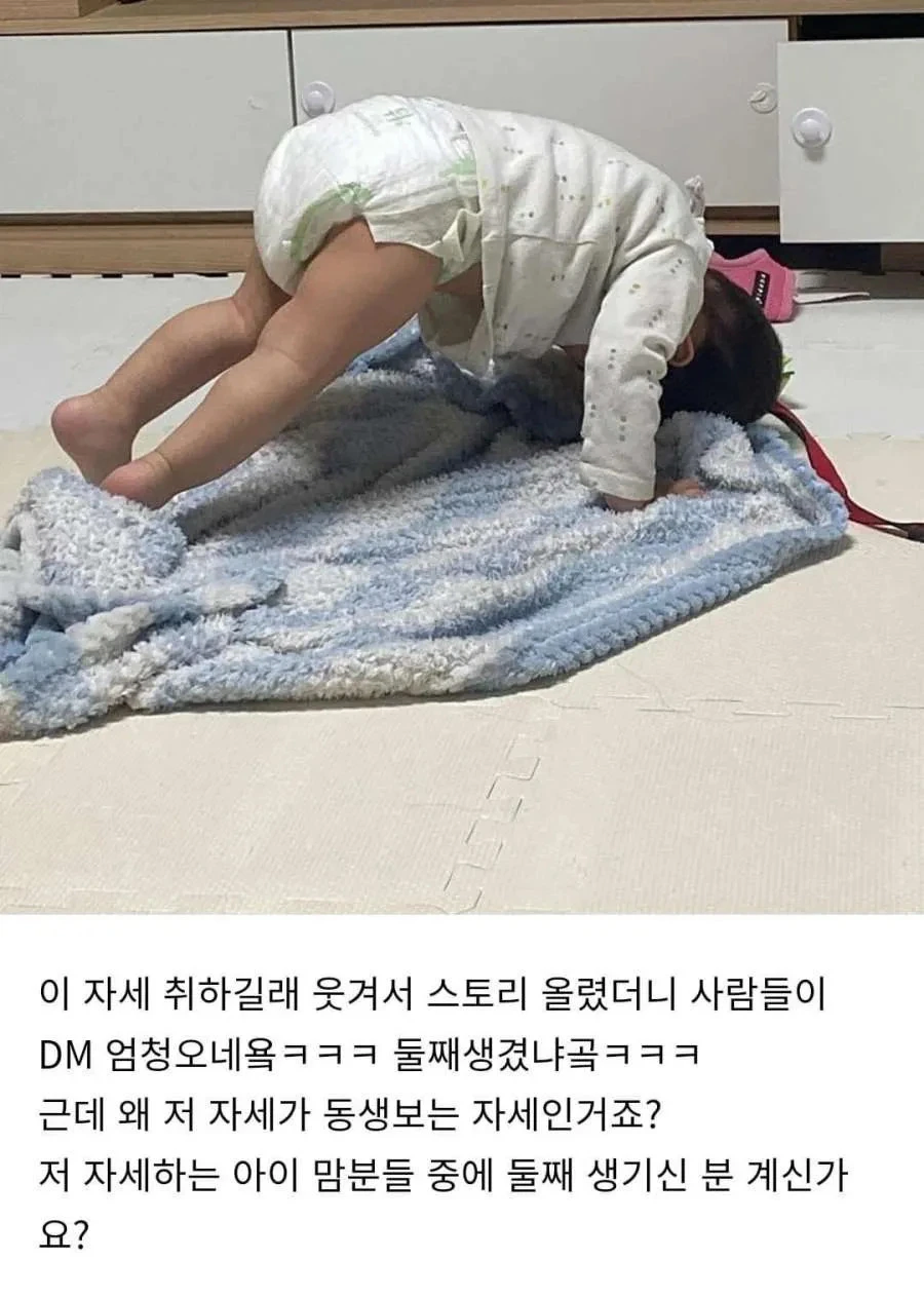 특정 나잇대 애기들이 한다는 그 자세_4.webp