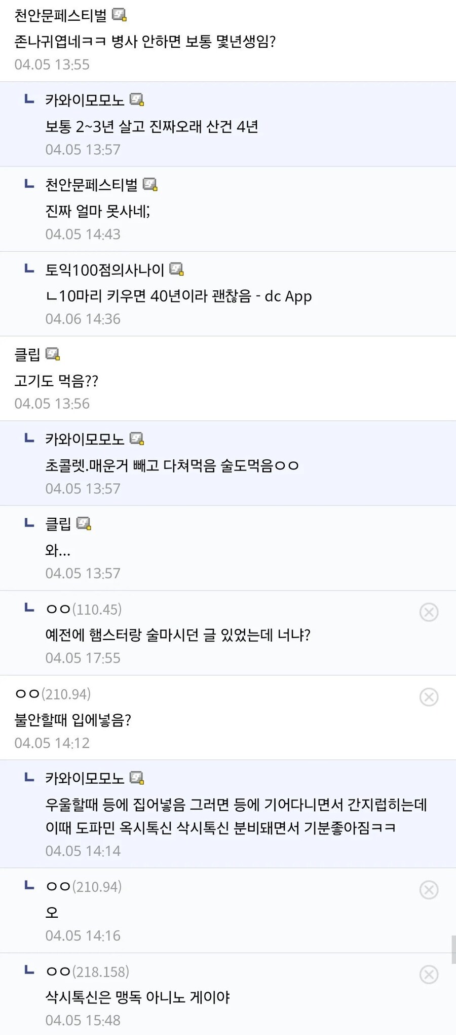 십년간 햄스터 키우기 한우물만 판 디시인_5.jpg