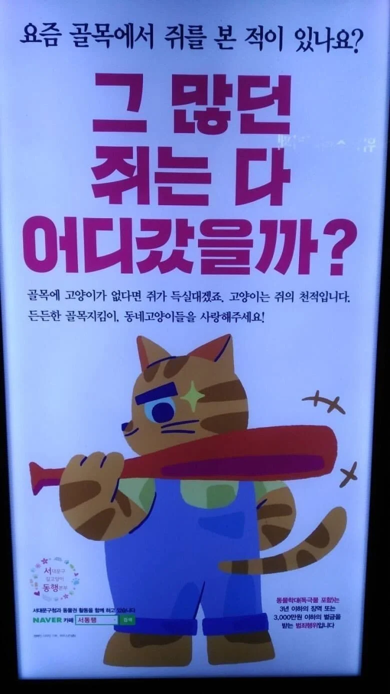 길냥이집에 홈캠을 설치한 캣맘_6.webp