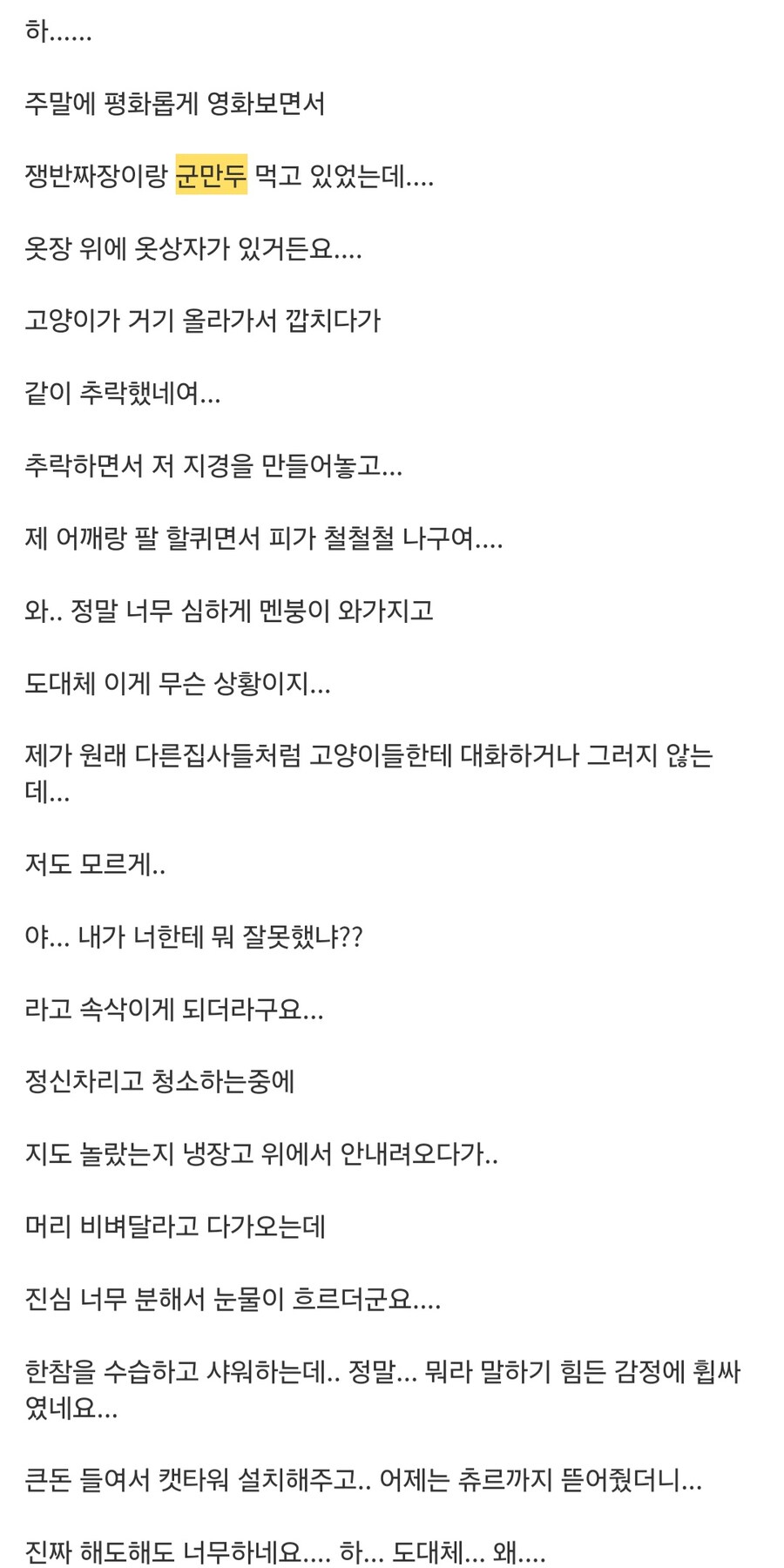 고양이 대참사.jpg_4.jpg