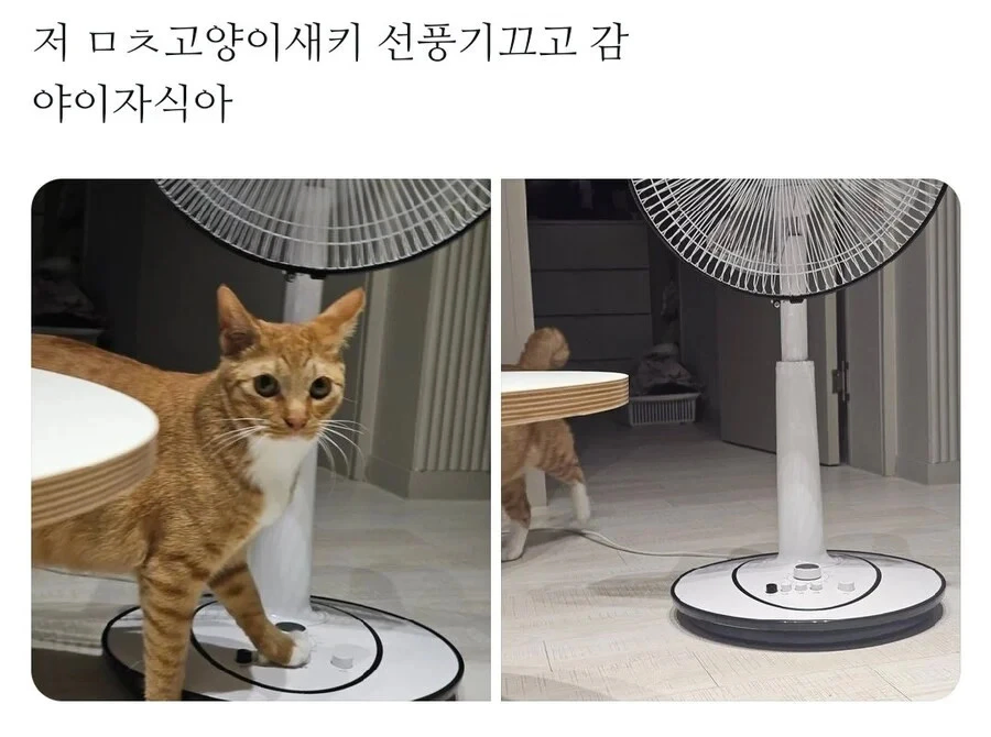 주인이 싫어하는건 귀신같이 캐치함_1.webp