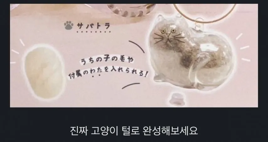 일본에서 출시한 고양이 굿즈_2.webp