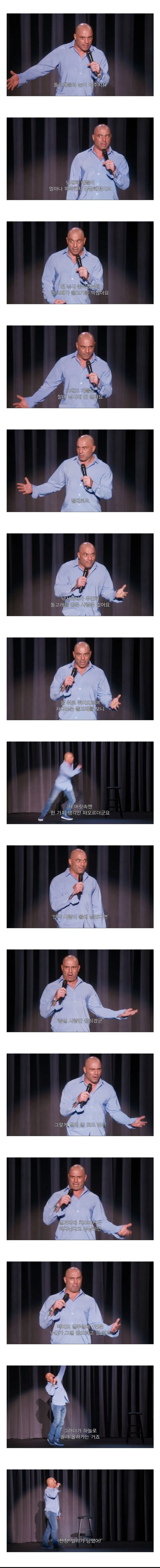 돌고래들이 정말 똑똑하다는 증거._1.webp
