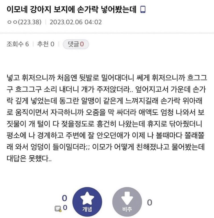 이모네 강아지랑 친해진 방법_1.jpg