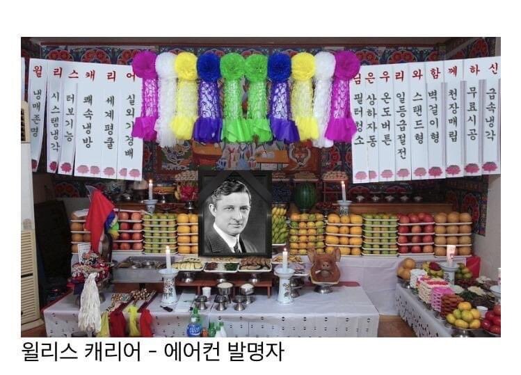 인류의)