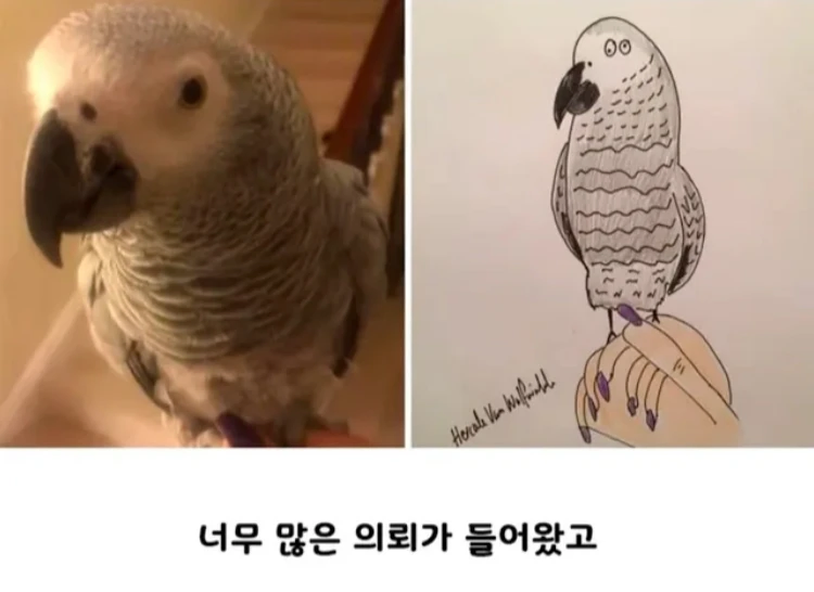 커미션 받아요 단돈44만원.jpg [_2.webp