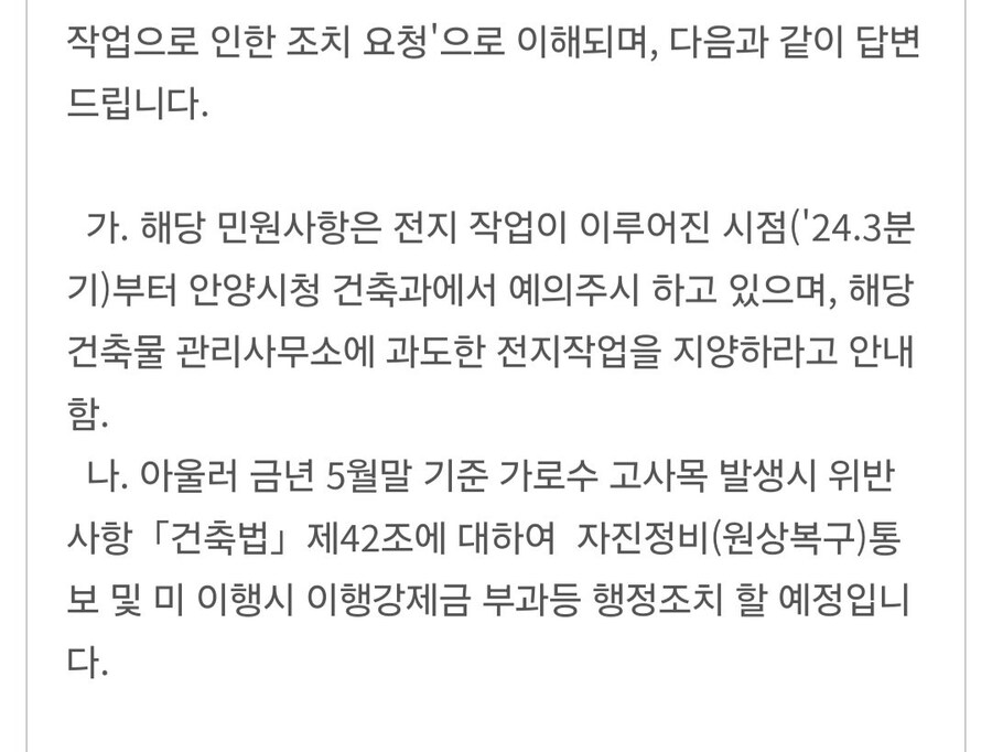 도시 가로수의 중요성.jpg_4.jpg