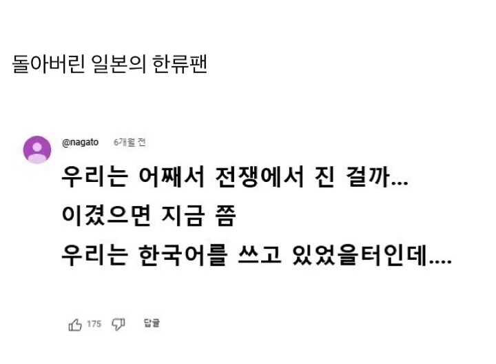돌아버린 일본의 한류팬.jpg_1.jpg