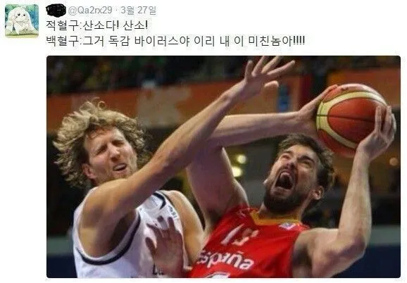 독감 걸렸을 때 당신의 몸 속 상황_1.webp