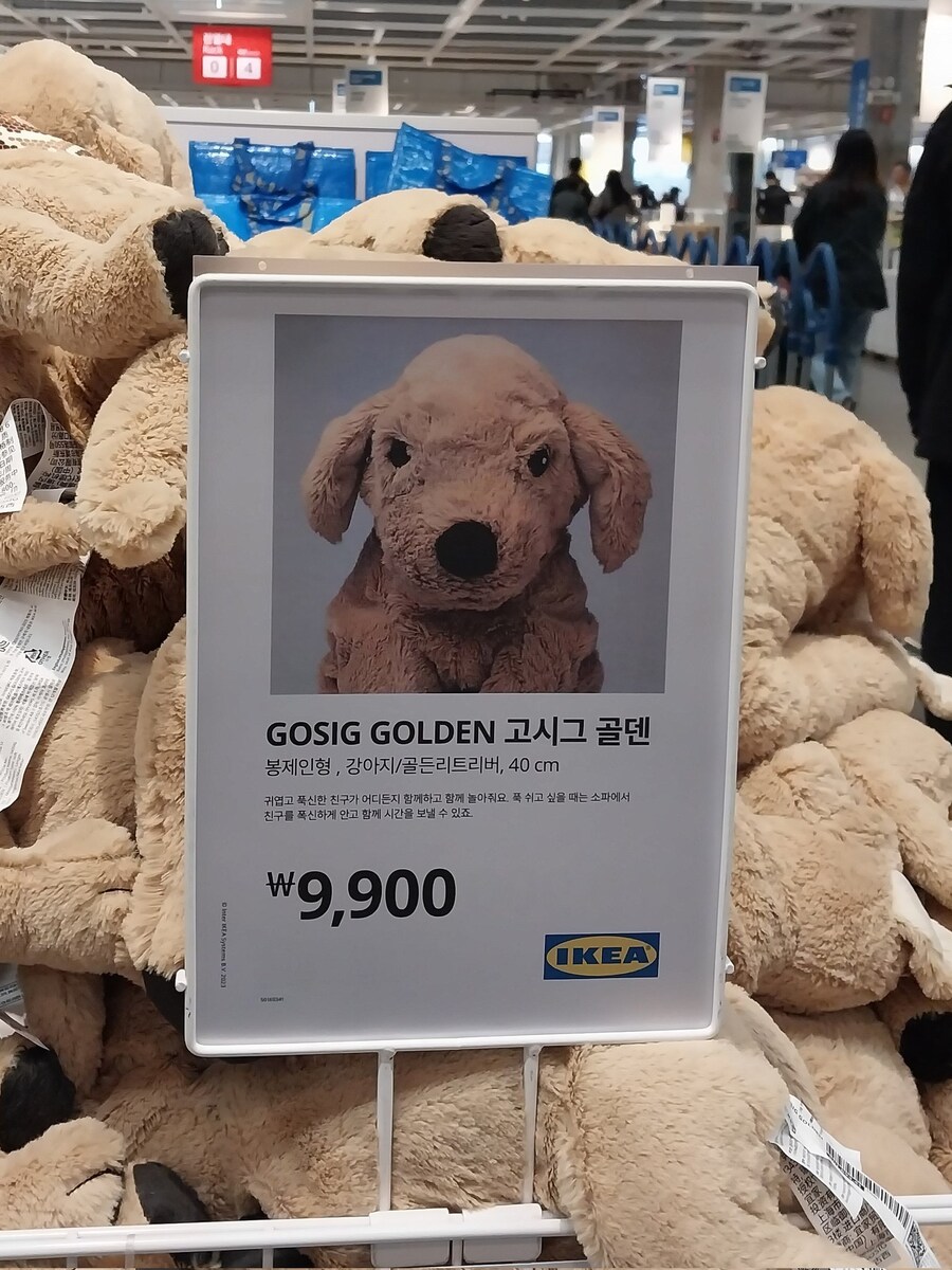 이케아 골든 리트리버 머그샷_1.jpg