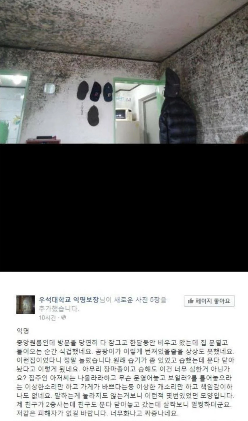 혐] 반지하 원룸을 한달동안 비운 자취생_1.webp