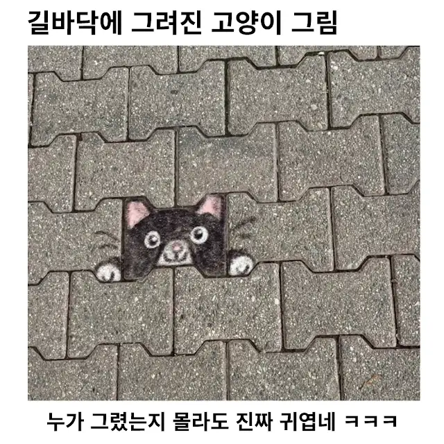 보도블럭에 누가 그리고 간 고양이 ㅋㅋㅋㅋㅋㅋ_1.webp