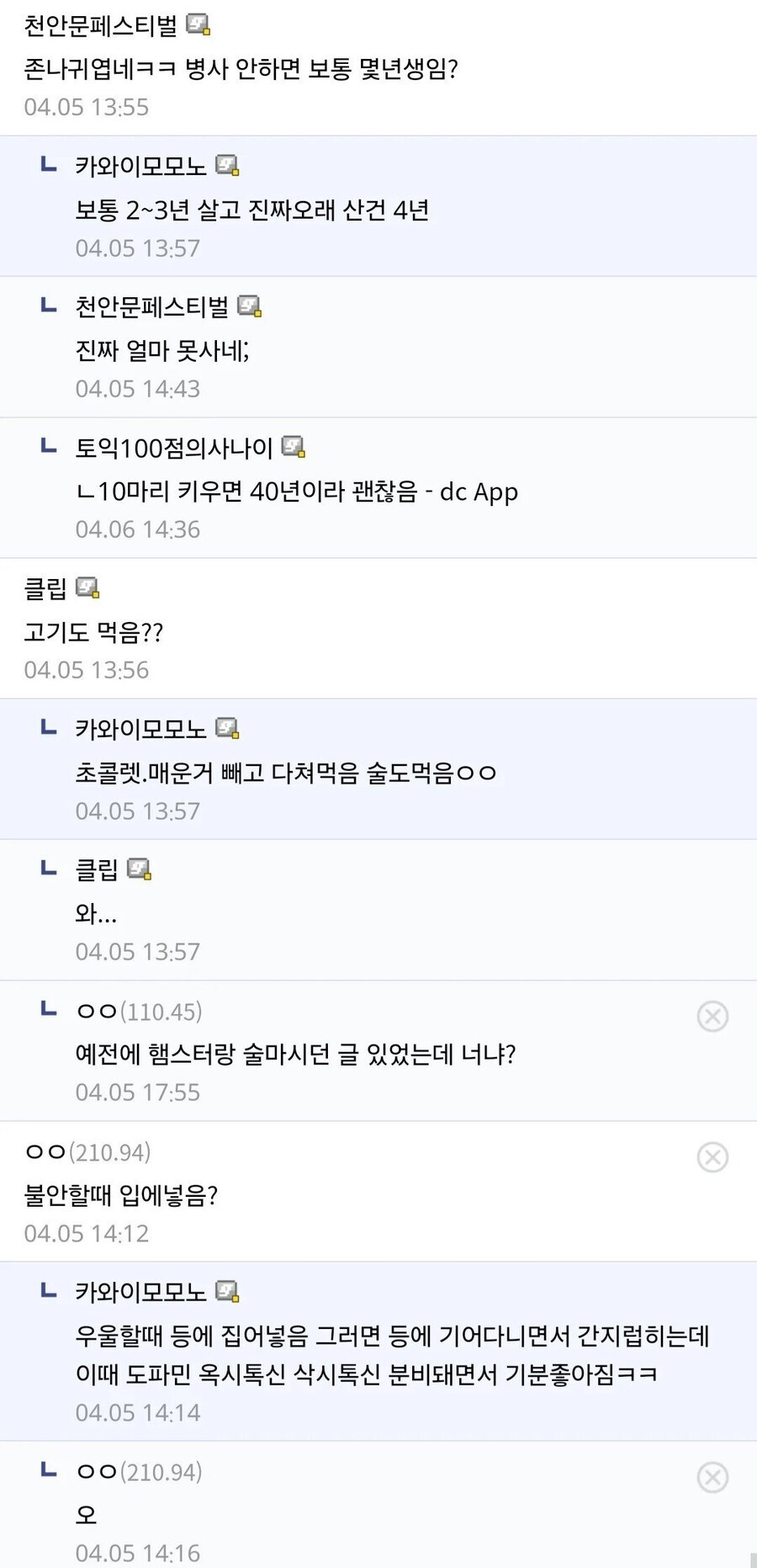 10년 내내 햄스터 기른 사람이 키운 햄스터 총 숫자.jpg_5.jpg