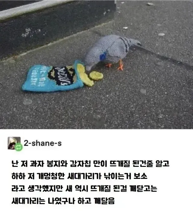 개멍청한 새대가리_1.webp